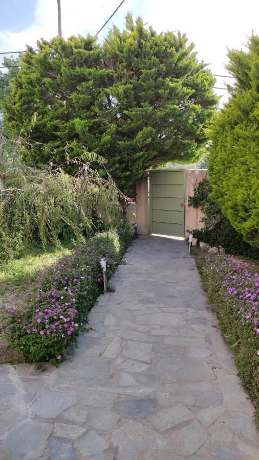 Villa Katerina إياليسوس المظهر الخارجي الصورة